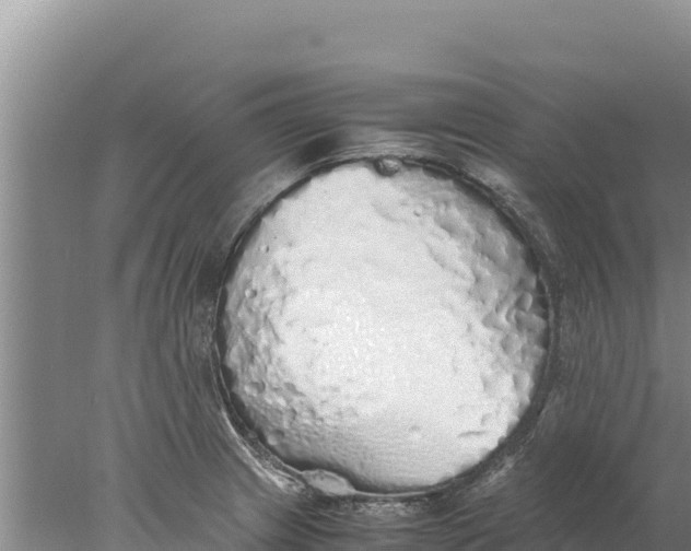 X0000077991233200611171746