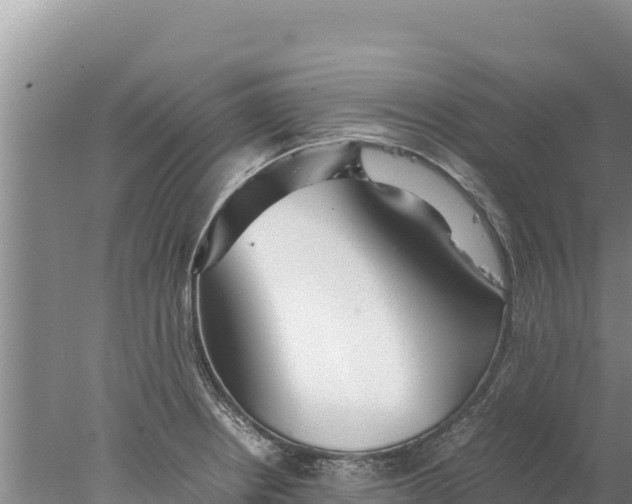 X0000077991234200611171746