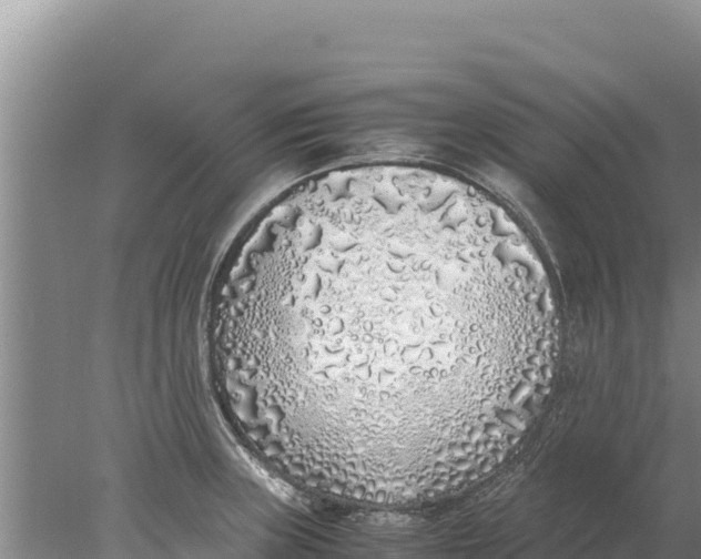 X0000077991235200611171746