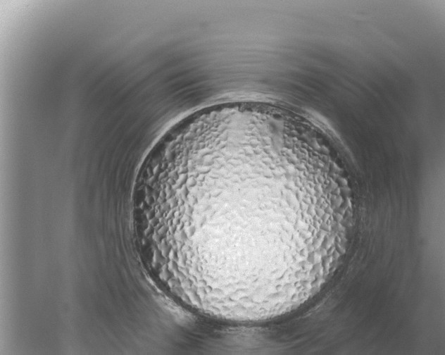 X0000077991236200611171746