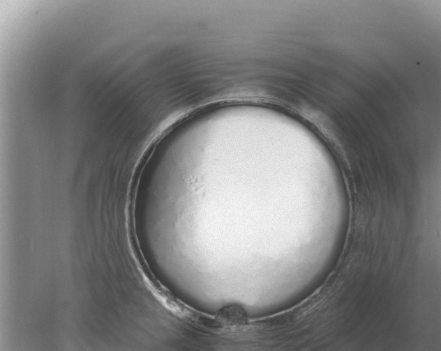 X0000077991237200611171746