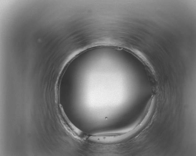 X0000077991238200611171746