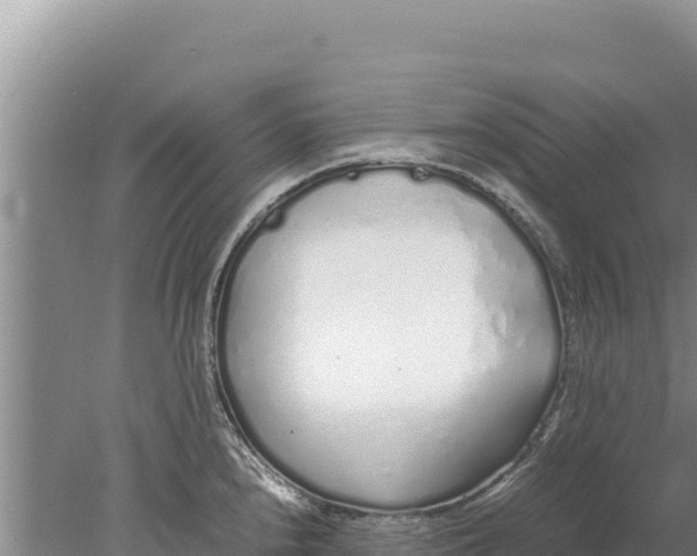 X0000077991240200611171746