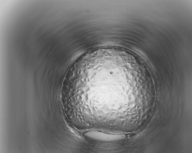 X0000077991241200611171746