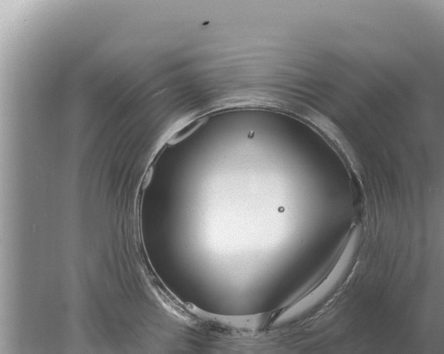 X0000077991242200611171746