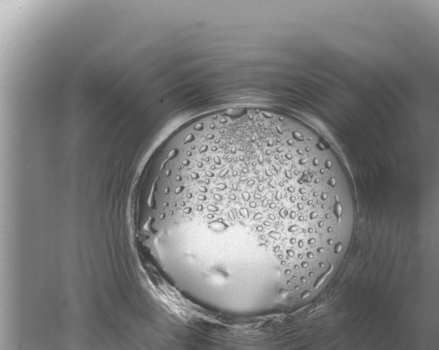 X0000077991243200611171746