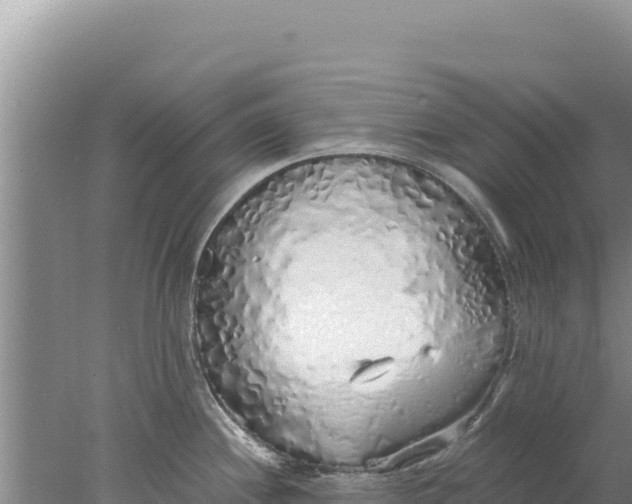 X0000077991244200611171746