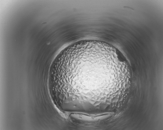 X0000077991245200611171746