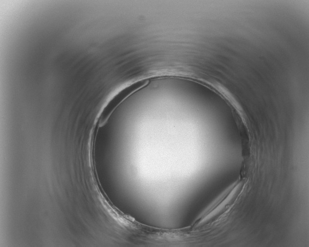 X0000077991246200611171746