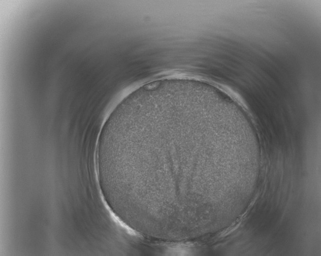 X0000077991247200611171746