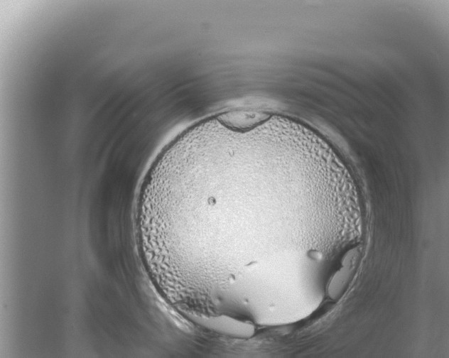 X0000077991248200611171746