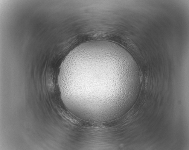 X0000077991250200611171745