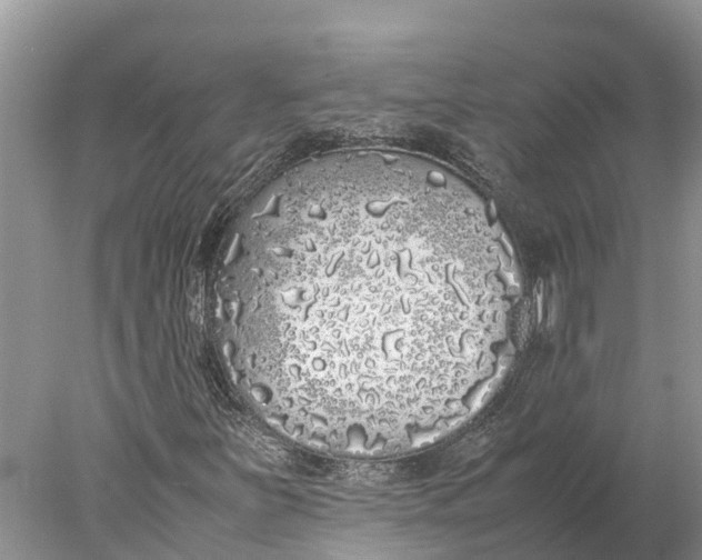 X0000077991251200611171745