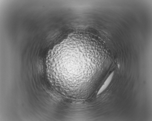 X0000077991252200611171745