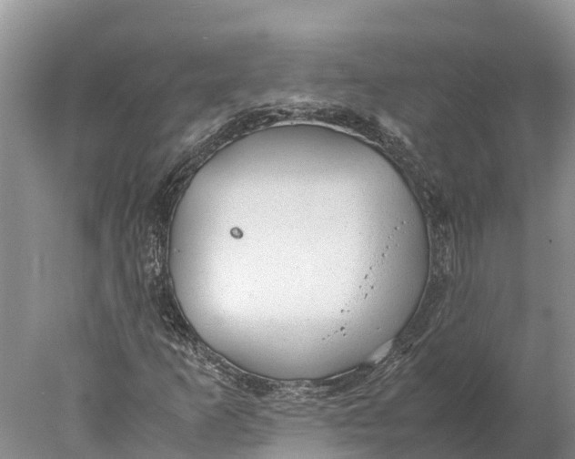 X0000077991253200611171745