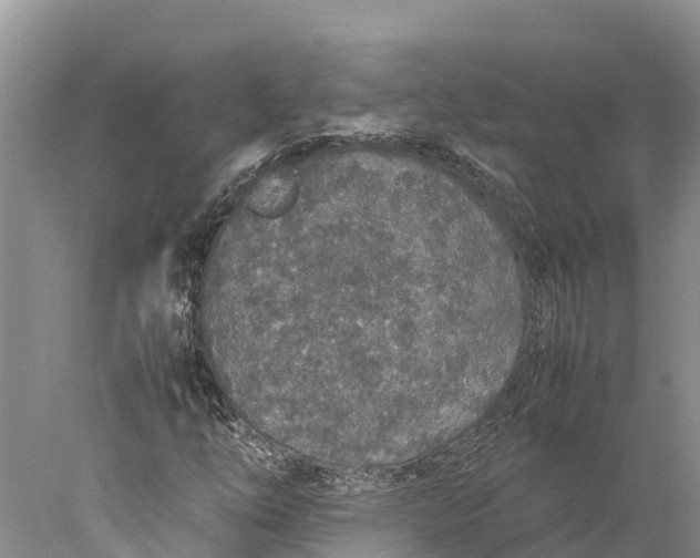 X0000077991254200611171745