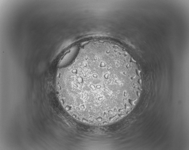 X0000077991255200611171745