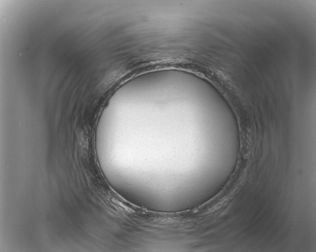 X0000077991257200611171745