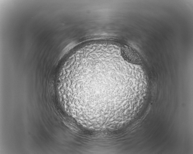 X0000077991259200611171745