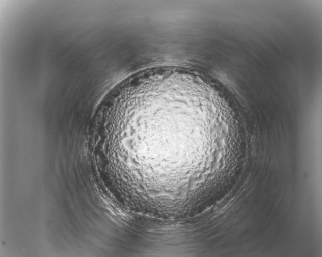 X0000077991260200611171745