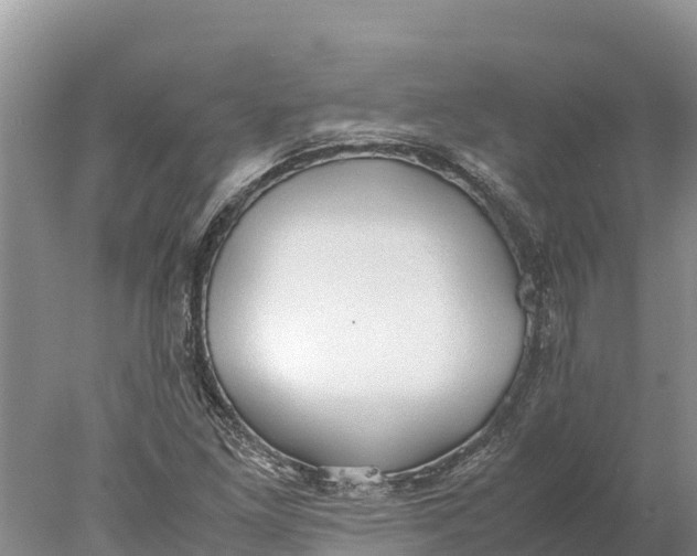 X0000077991261200611171745