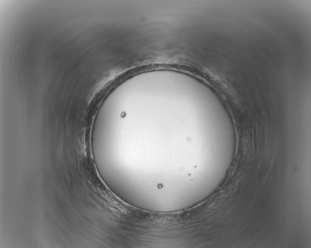 X0000077991262200611171745