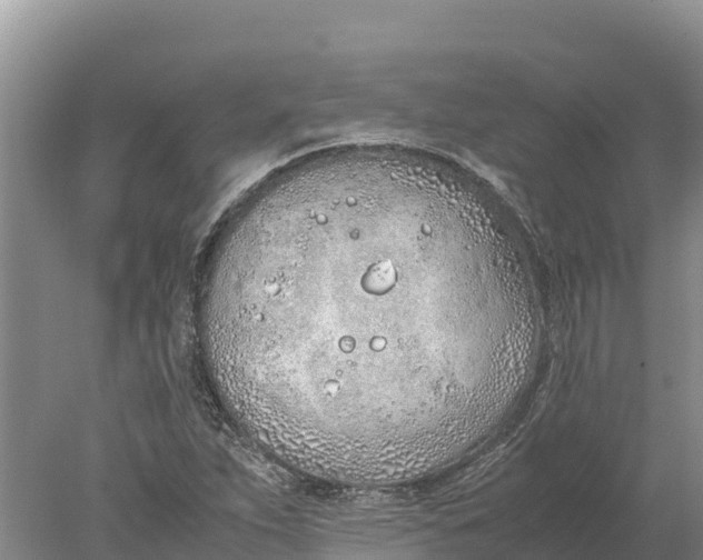 X0000077991263200611171745