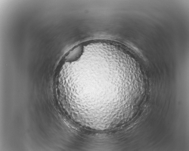 X0000077991264200611171745