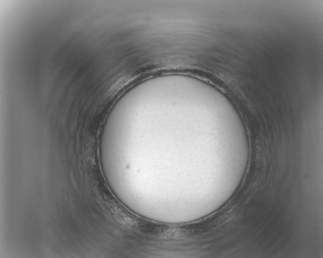 X0000077991265200611171745