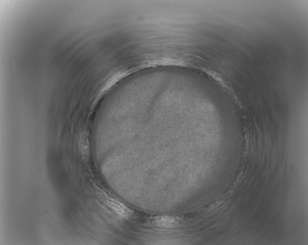 X0000077991266200611171745