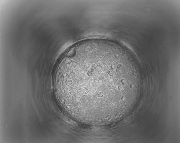 X0000077991267200611171745