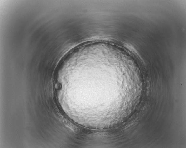 X0000077991268200611171745