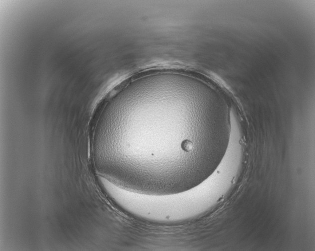 X0000077991269200611171745