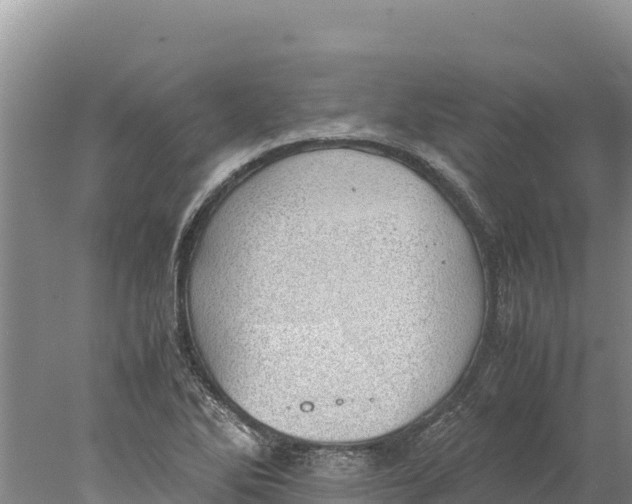 X0000077991270200611171745