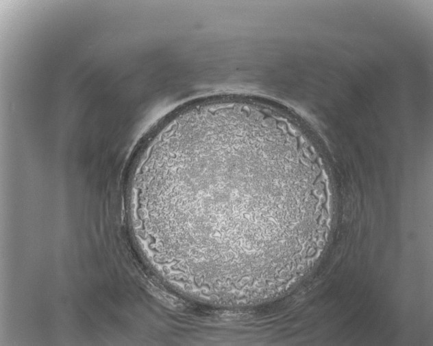 X0000077991271200611171745