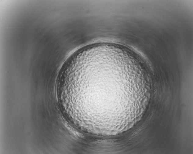 X0000077991272200611171745