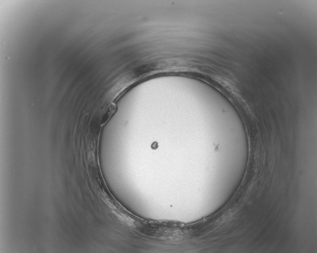 X0000077991273200611171745