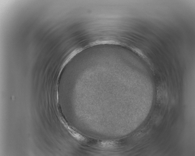 X0000077991274200611171745