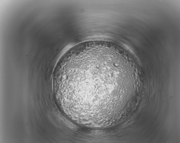 X0000077991275200611171745