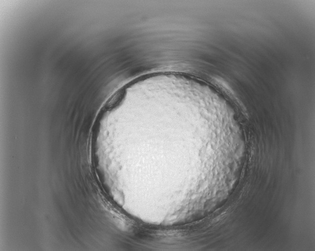 X0000077991276200611171745