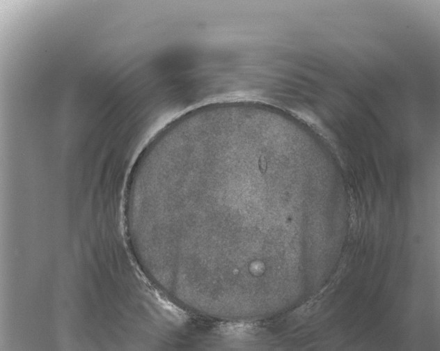 X0000077991278200611171745