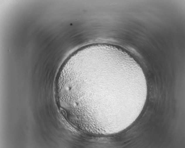 X0000077991280200611171745