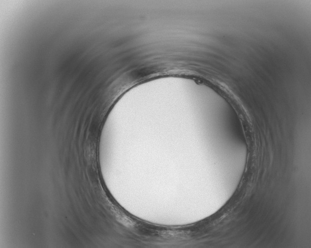 X0000077991281200611171745