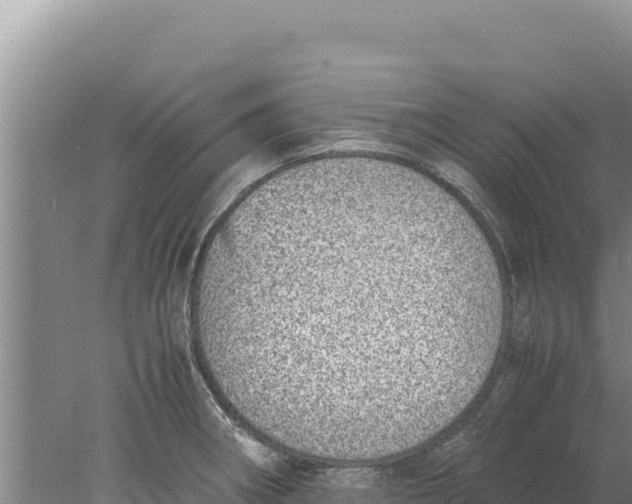 X0000077991282200611171745