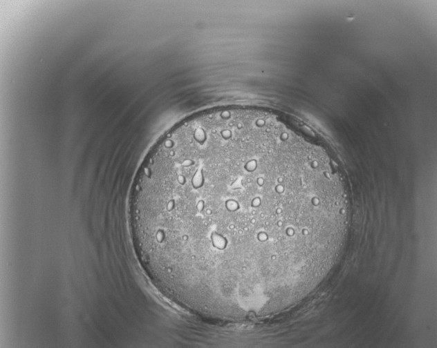 X0000077991283200611171745