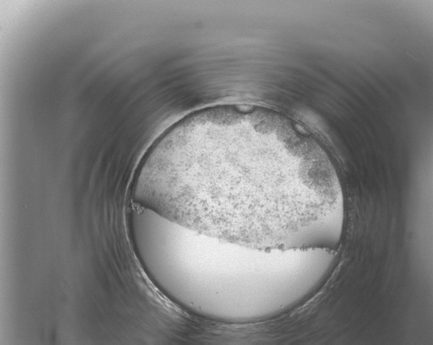 X0000077991284200611171745