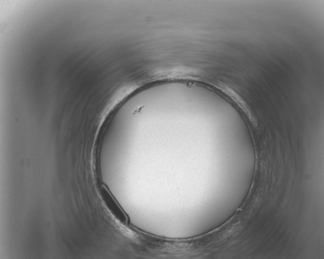 X0000077991285200611171745