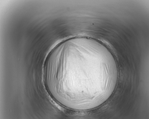 X0000077991286200611171745