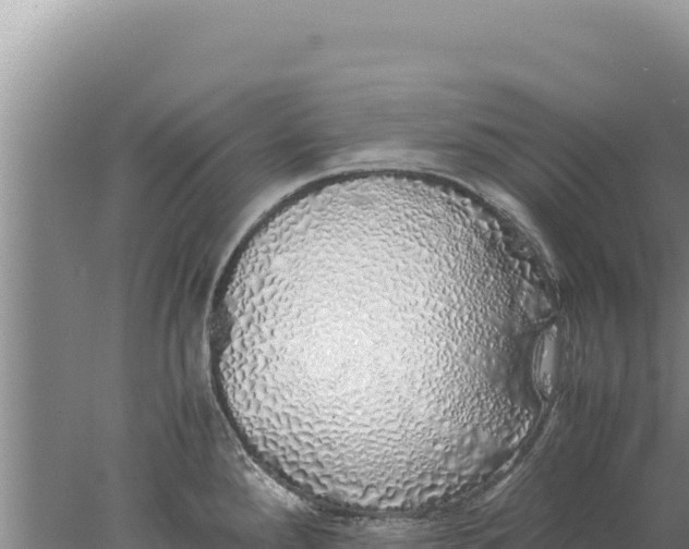 X0000077991288200611171745