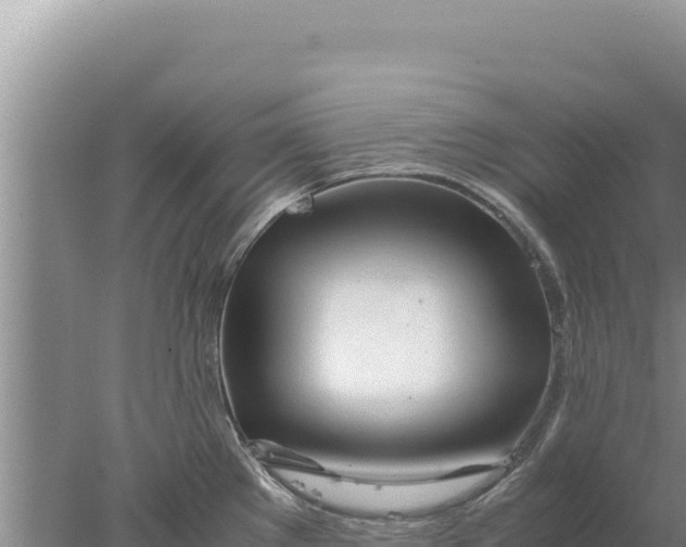 X0000077991289200611171745